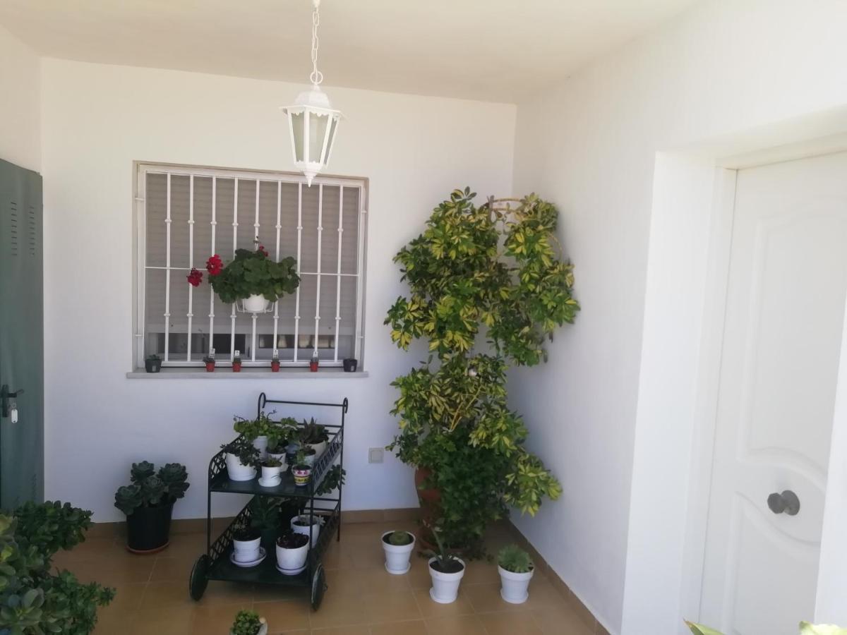 Gemelas De Terreros 1 Hébergement de vacances *