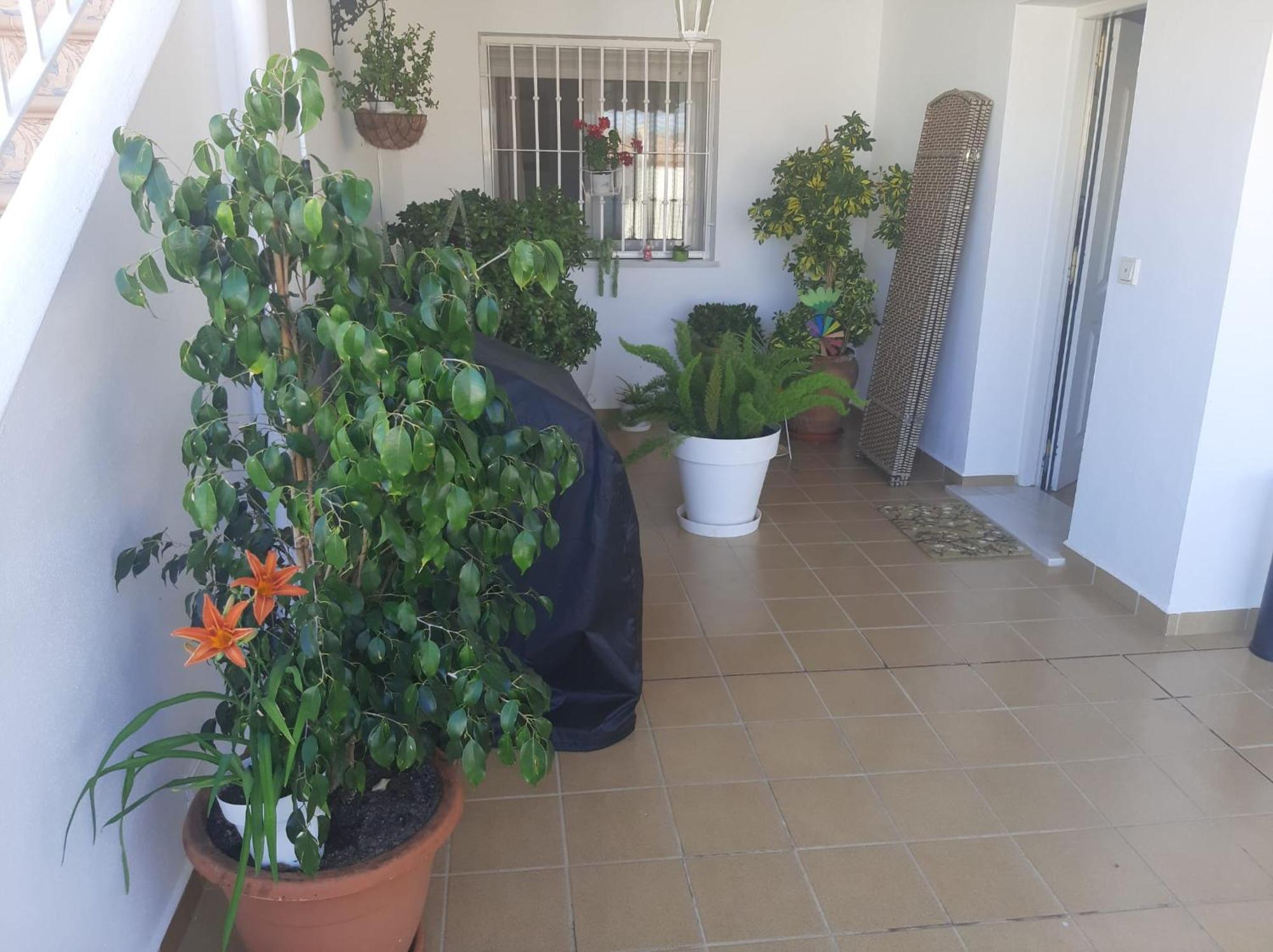 Gemelas De Terreros 1